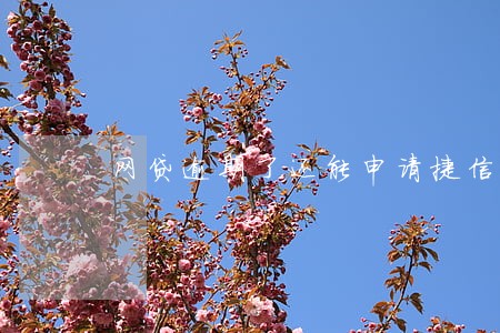 网贷逾期了还能申请捷信吗 网贷逾期了还能申请捷信吗
