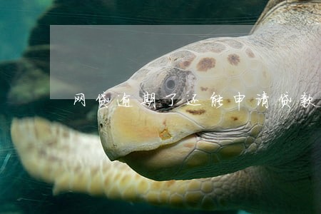网贷逾期了还能申请贷款吗 网贷逾期了还能申请贷款吗
