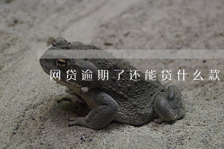 网贷逾期了还能贷什么款么 网贷逾期了还能贷什么款么