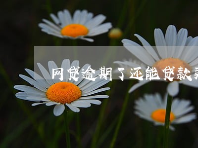 网贷逾期了还能贷款买车吗 网贷逾期了还能贷款买车吗