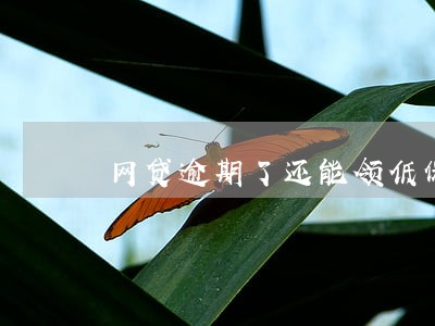 网贷逾期了还能领低保吗 网贷逾期了还能领低保吗