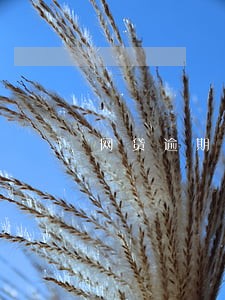 网贷逾期了还要算利息吗 网贷逾期了还要算利息吗