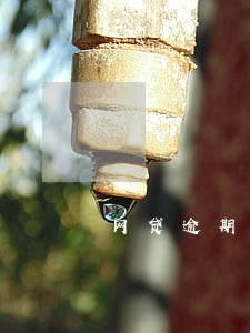 网贷逾期了还进去额度还有吗 网贷逾期了还进去额度还有吗
