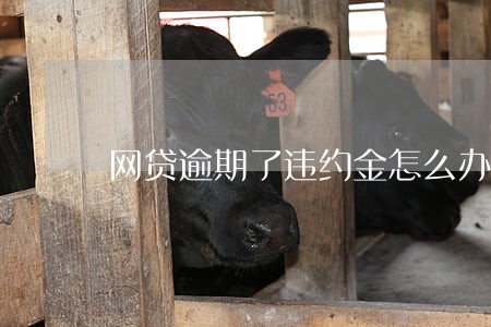 网贷逾期了违约金怎么办 网贷逾期了违约金怎么办