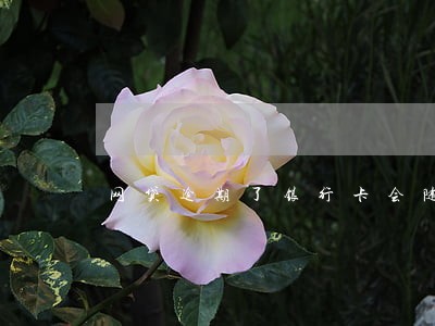 网贷逾期了银行卡会随时扣款吗 网贷逾期了银行卡会随时扣款吗