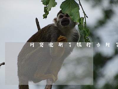 网贷逾期了银行卡封了 网贷逾期了银行卡封了