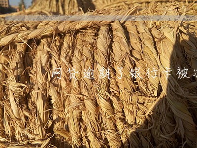 网贷逾期了银行卡被冻结怎么还款 网贷逾期了银行卡被冻结怎么还款