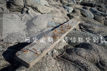 网贷逾期了银行能贷到款吗 网贷逾期了银行能贷到款吗