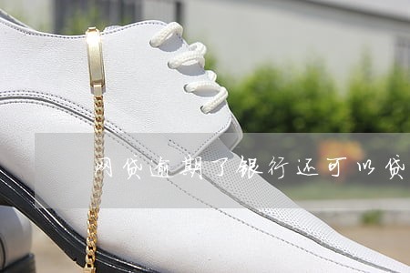 网贷逾期了银行还可以贷款吗