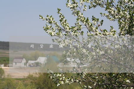 网贷逾期了防爆 网贷逾期了防爆