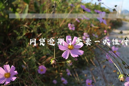 网贷逾期了需要一次性付清吗 网贷逾期了需要一次性付清吗
