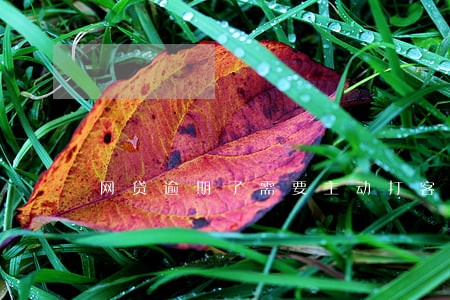 网贷逾期了需要主动打客服电话吗 网贷逾期了需要主动打客服电话吗