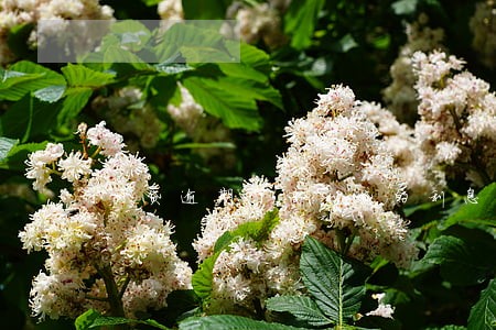 网贷逾期了高利贷的利息