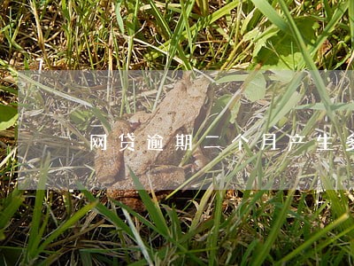 网贷逾期二个月产生多少手续费 网贷逾期二个月产生多少手续费