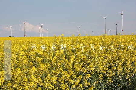 网贷逾期二个月会上门吗