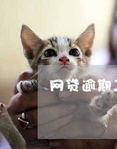 网贷逾期二个月电话少多了 网贷逾期二个月电话少多了