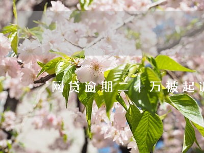 网贷逾期二十万被起诉 网贷逾期二十万被起诉