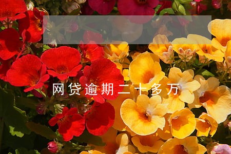 网贷逾期二十多万 网贷逾期二十多万
