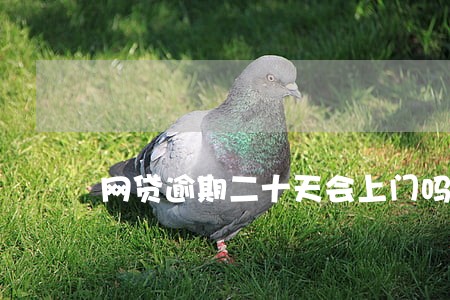 网贷逾期二十天会上门吗 网贷逾期二十天会上门吗