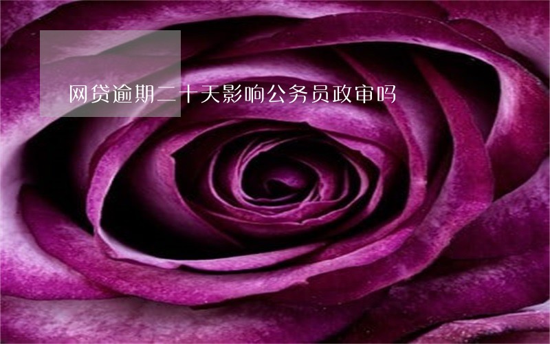 网贷逾期二十天影响公务员政审吗 网贷逾期二十天影响公务员政审吗