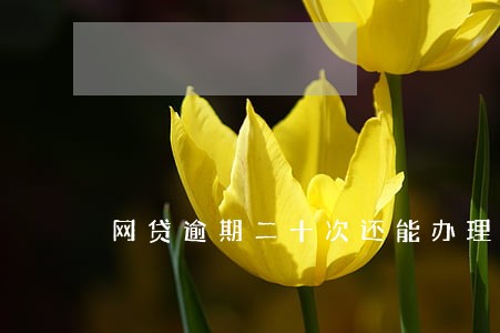 网贷逾期二十次还能办理房贷吗