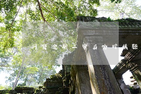 网贷逾期二审后啥时候强制执行 网贷逾期二审后啥时候强制执行