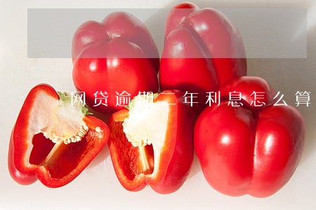 网贷逾期二年利息怎么算 网贷逾期二年利息怎么算