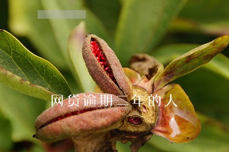 网贷逾期二年的人 网贷逾期二年的人