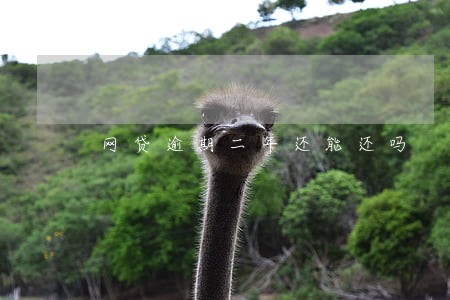 网贷逾期二年还能还吗