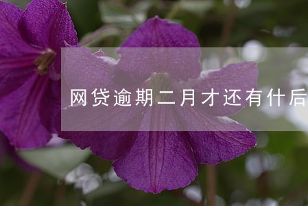 网贷逾期二月才还有什后果