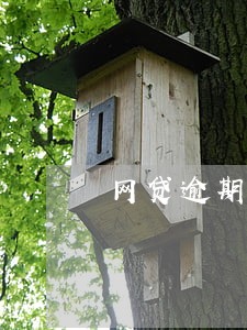 网贷逾期互联网金融协会 网贷逾期互联网金融协会
