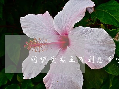 网贷逾期五万利息多少 网贷逾期五万利息多少