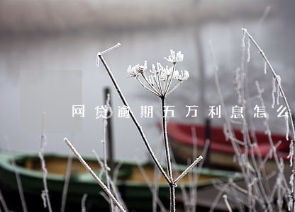 网贷逾期五万利息怎么算