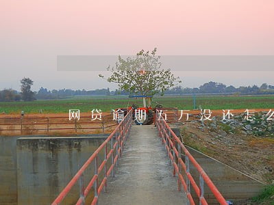 网贷逾期五万没还怎么办 网贷逾期五万没还怎么办