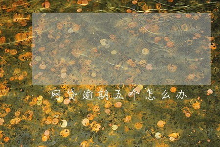网贷逾期五个怎么办 网贷逾期五个怎么办