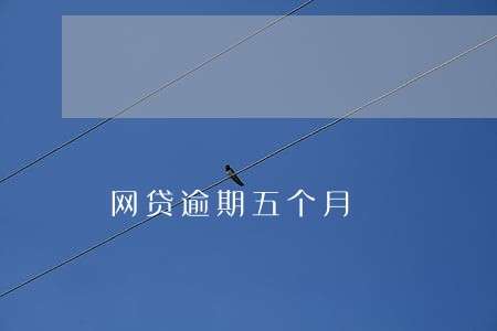 网贷逾期五个月 网贷逾期五个月