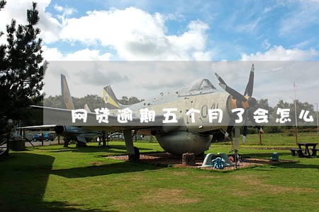 网贷逾期五个月了会怎么样 网贷逾期五个月了会怎么样