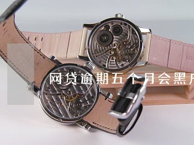 网贷逾期五个月会黑户吗 网贷逾期五个月会黑户吗