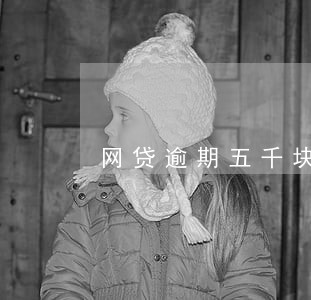 网贷逾期五千块会发律师函吗 网贷逾期五千块会发律师函吗