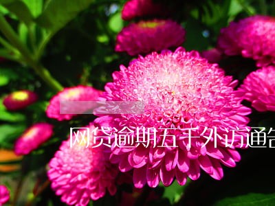 网贷逾期五千外访通告是否真实 网贷逾期五千外访通告是否真实