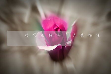 网贷逾期五千多被起诉