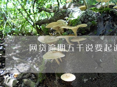 网贷逾期五千说要起诉我 网贷逾期五千说要起诉我