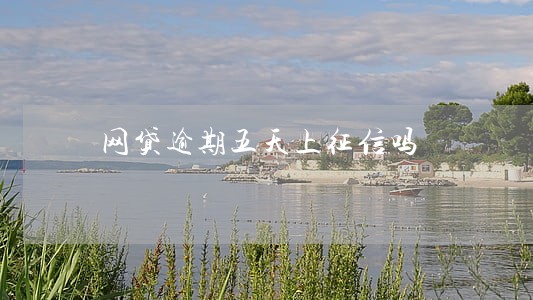 网贷逾期五天上征信吗 网贷逾期五天上征信吗