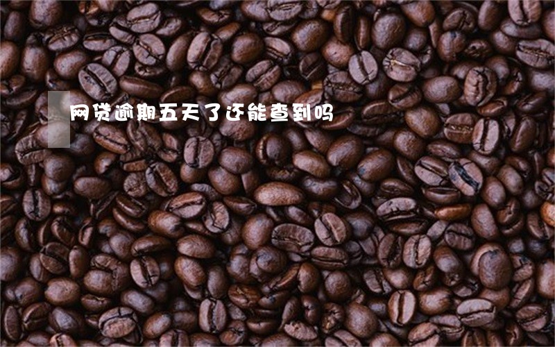 网贷逾期五天了还能查到吗 网贷逾期五天了还能查到吗