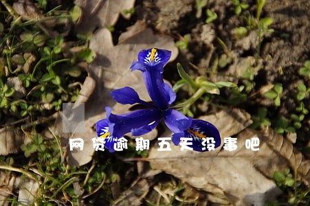网贷逾期五天没事吧