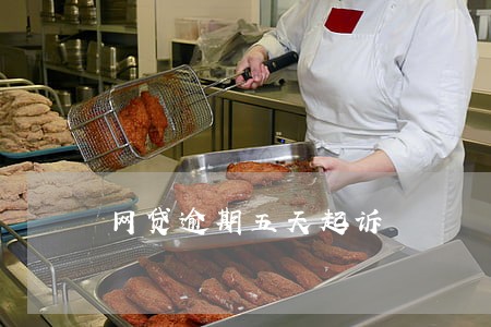 网贷逾期五天起诉 网贷逾期五天起诉