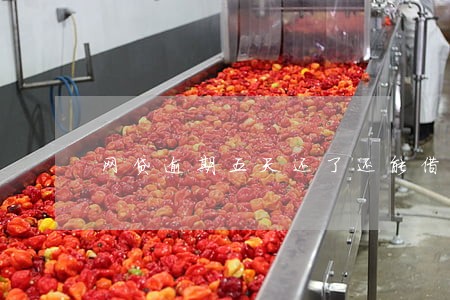 网贷逾期五天还了还能借吗 网贷逾期五天还了还能借吗