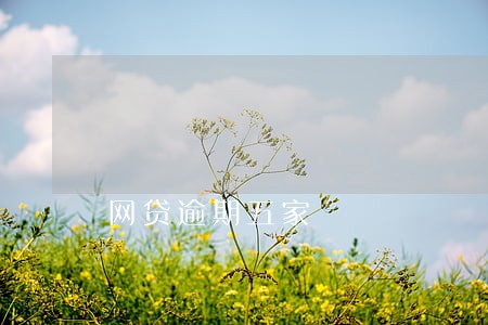 网贷逾期五家 网贷逾期五家