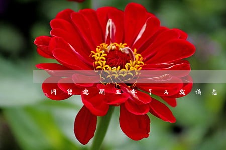 网贷逾期五年了又发信息 网贷逾期五年了又发信息