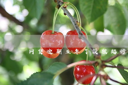 网贷逾期五年了没被起诉 网贷逾期五年了没被起诉